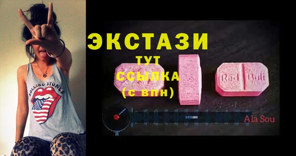 СК Алексин