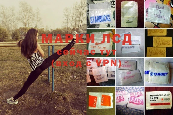 прущие крисы Алексеевка