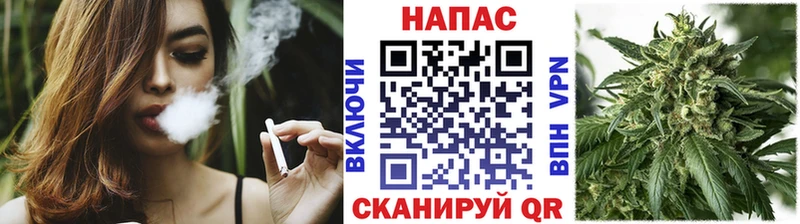 Бошки марихуана AK-47  где купить наркоту  кракен ССЫЛКА  Чехов 